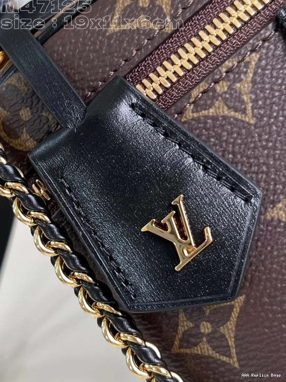 Aaa replica bags 11.5 x 6.5 x CM Pouch-19 Vanity VUITTON Chain LOUIS 0809